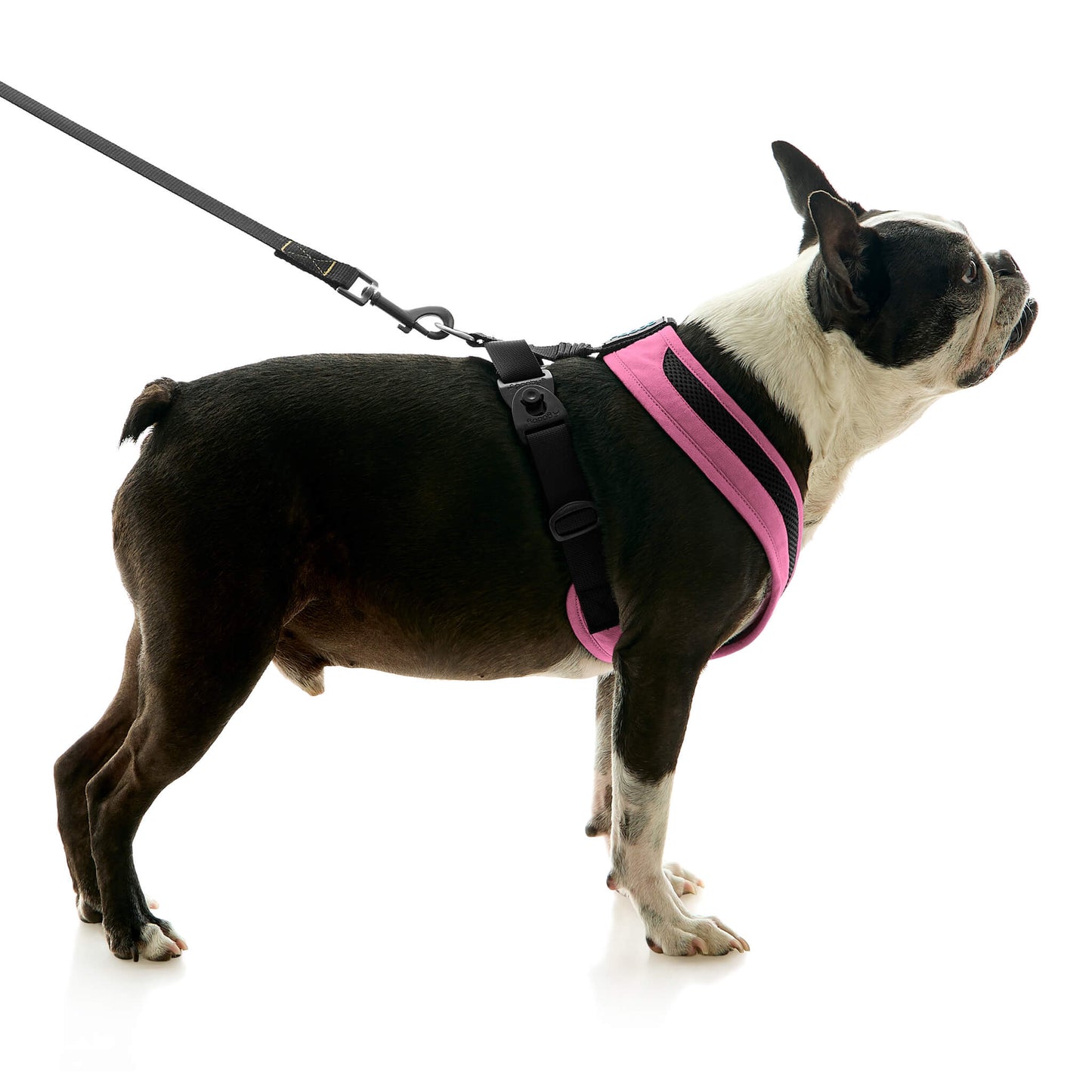 Escape Free Comfort X One Harness