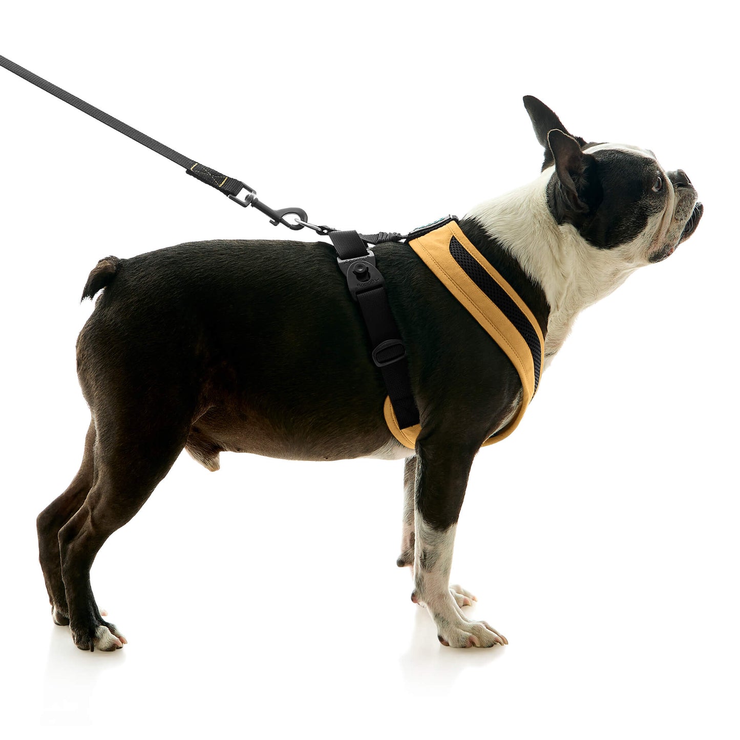 Escape Free Comfort X One Harness