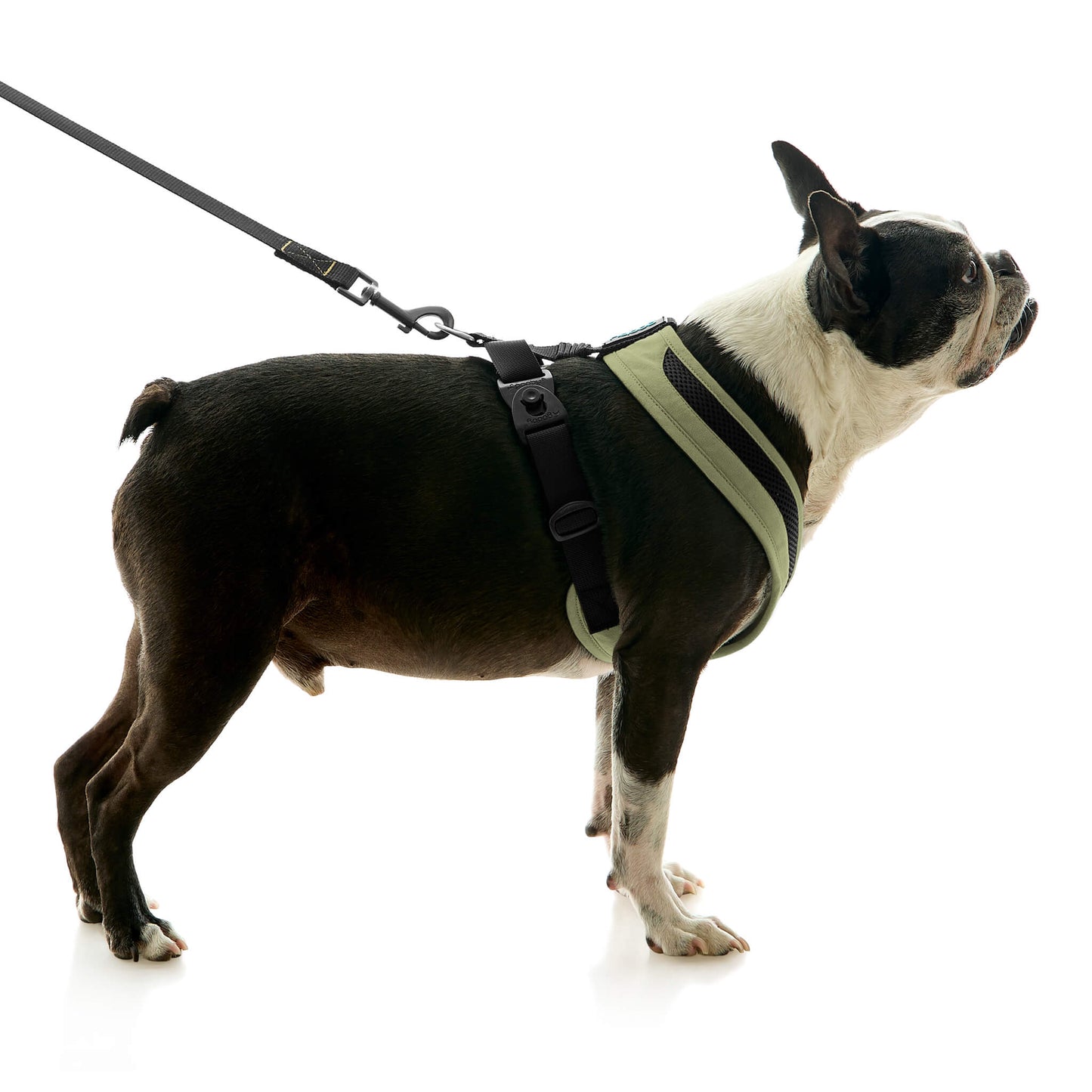 Escape Free Comfort X One Harness