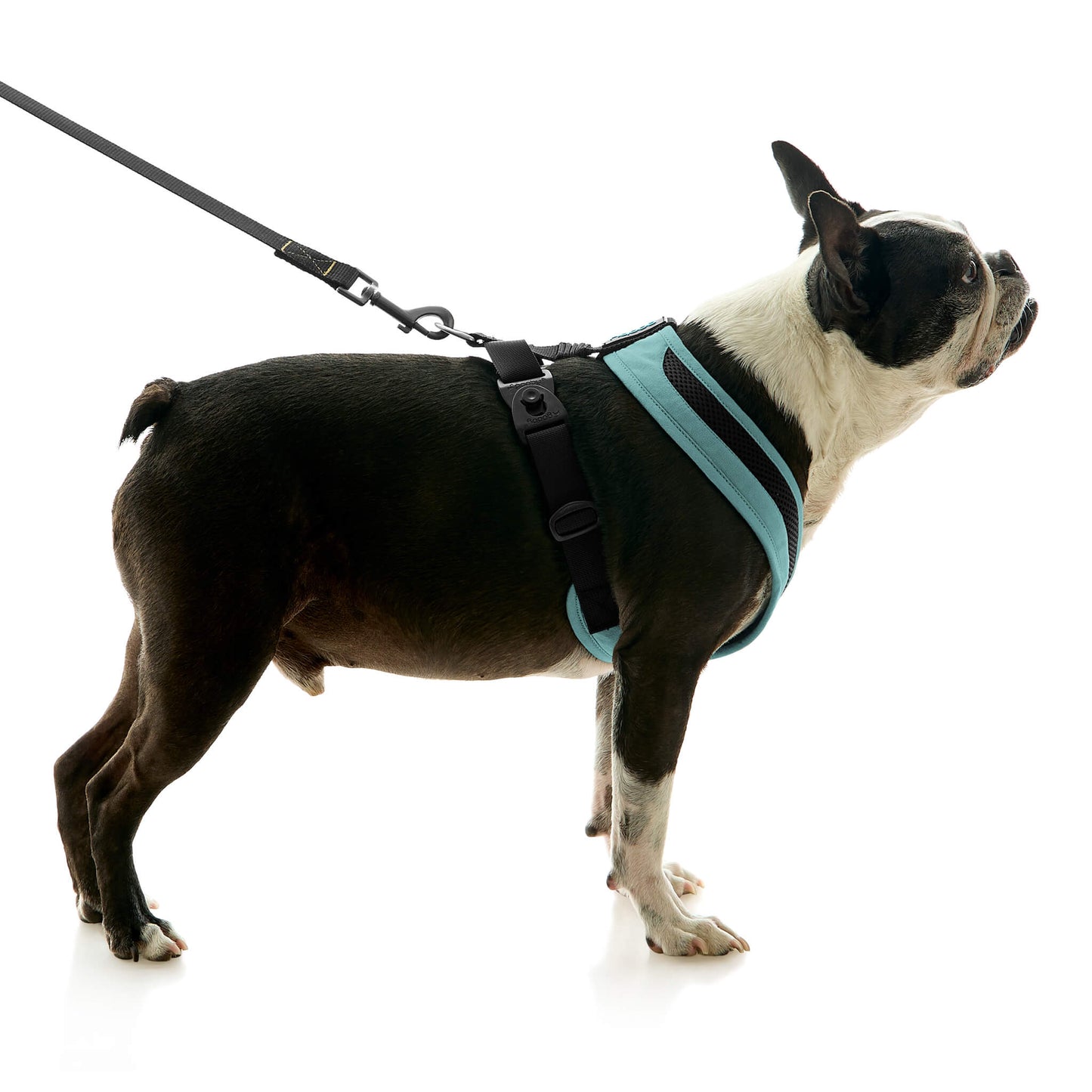 Escape Free Comfort X One Harness