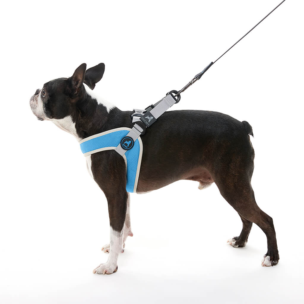 Simple Step In III Harness