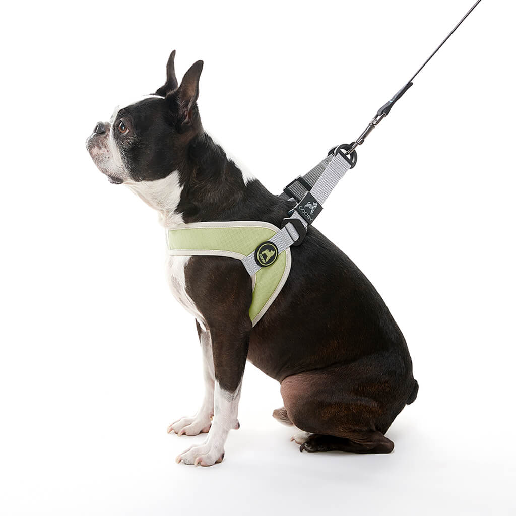 Simple Step In III Harness