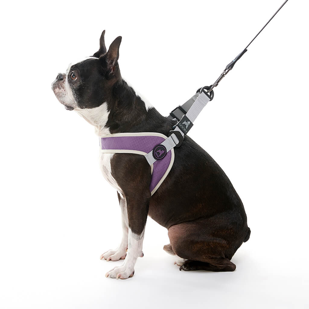 Simple Step In III Harness