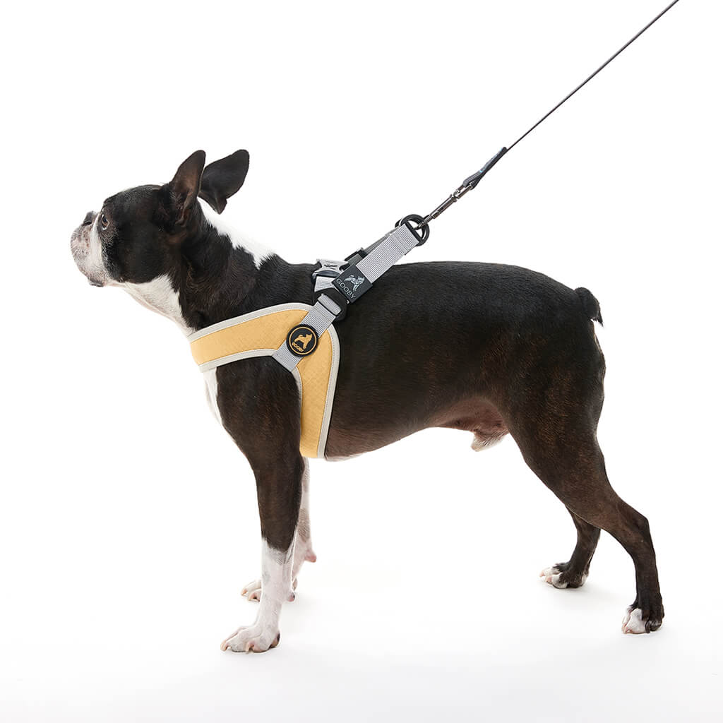 Simple Step In III Harness