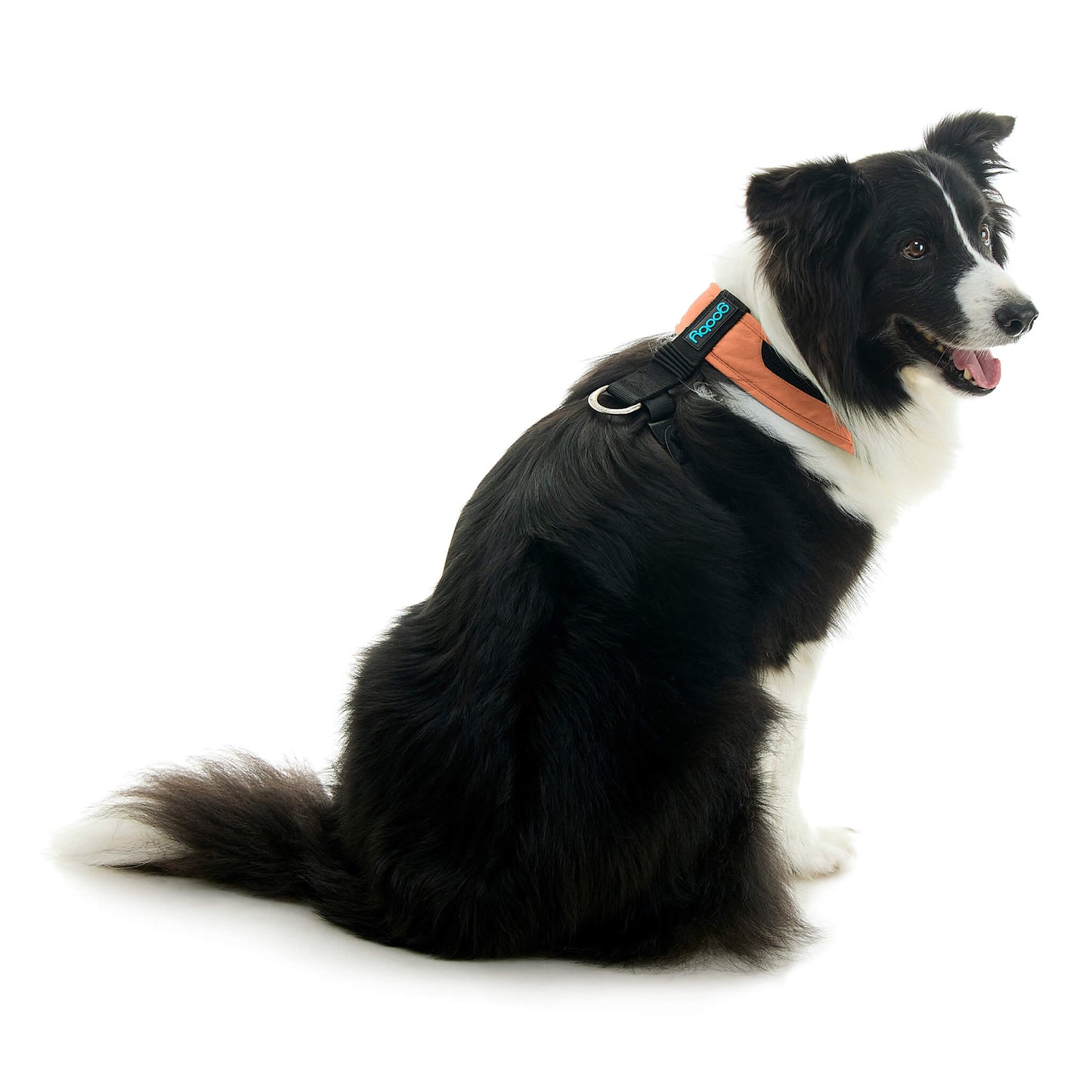 Escape Free Comfort X One Harness