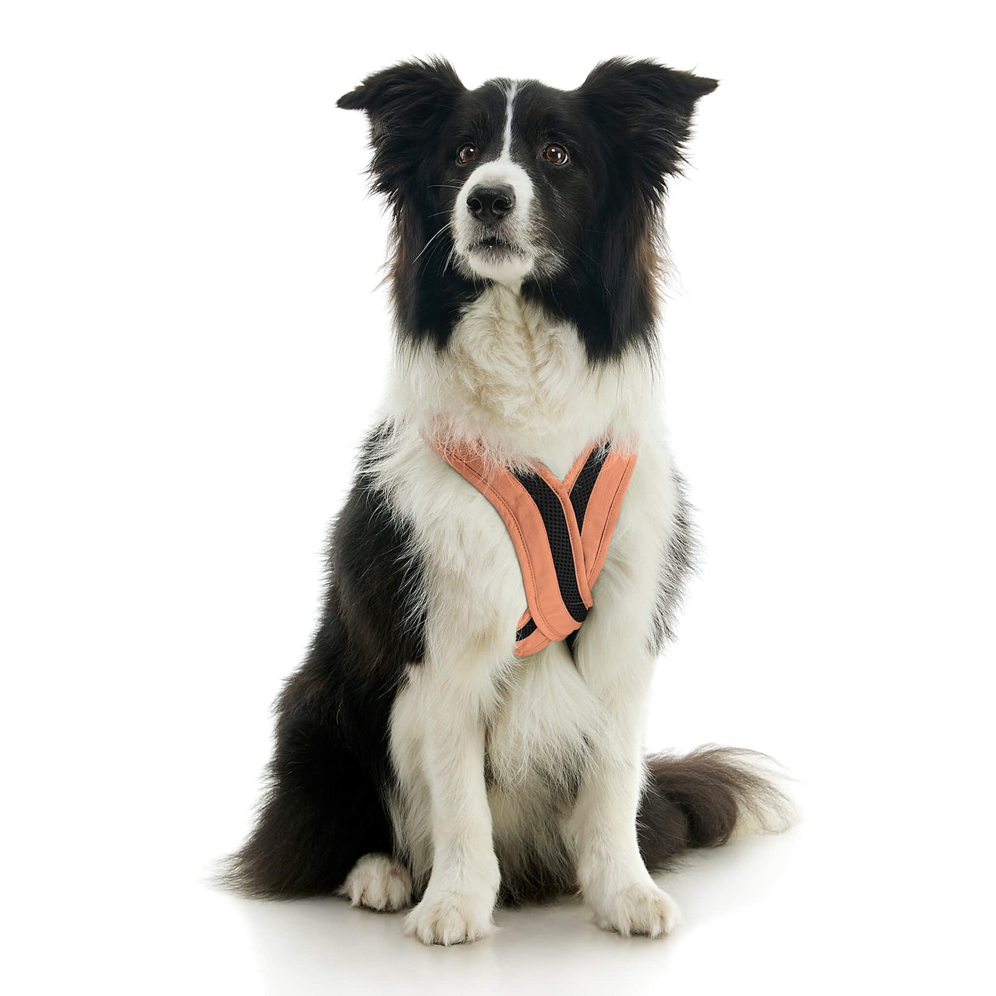 Escape Free Comfort X One Harness