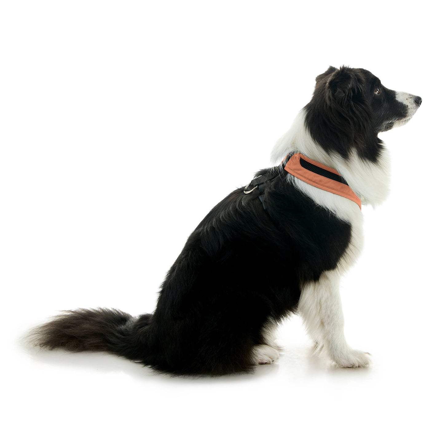 Escape Free Comfort X One Harness