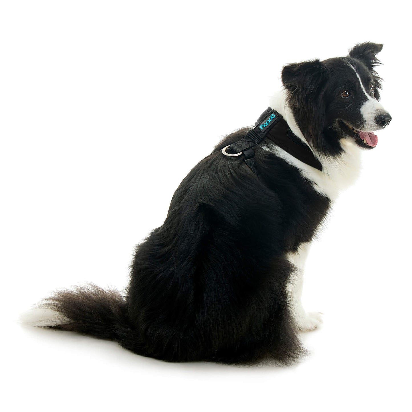 Escape Free Comfort X One Harness