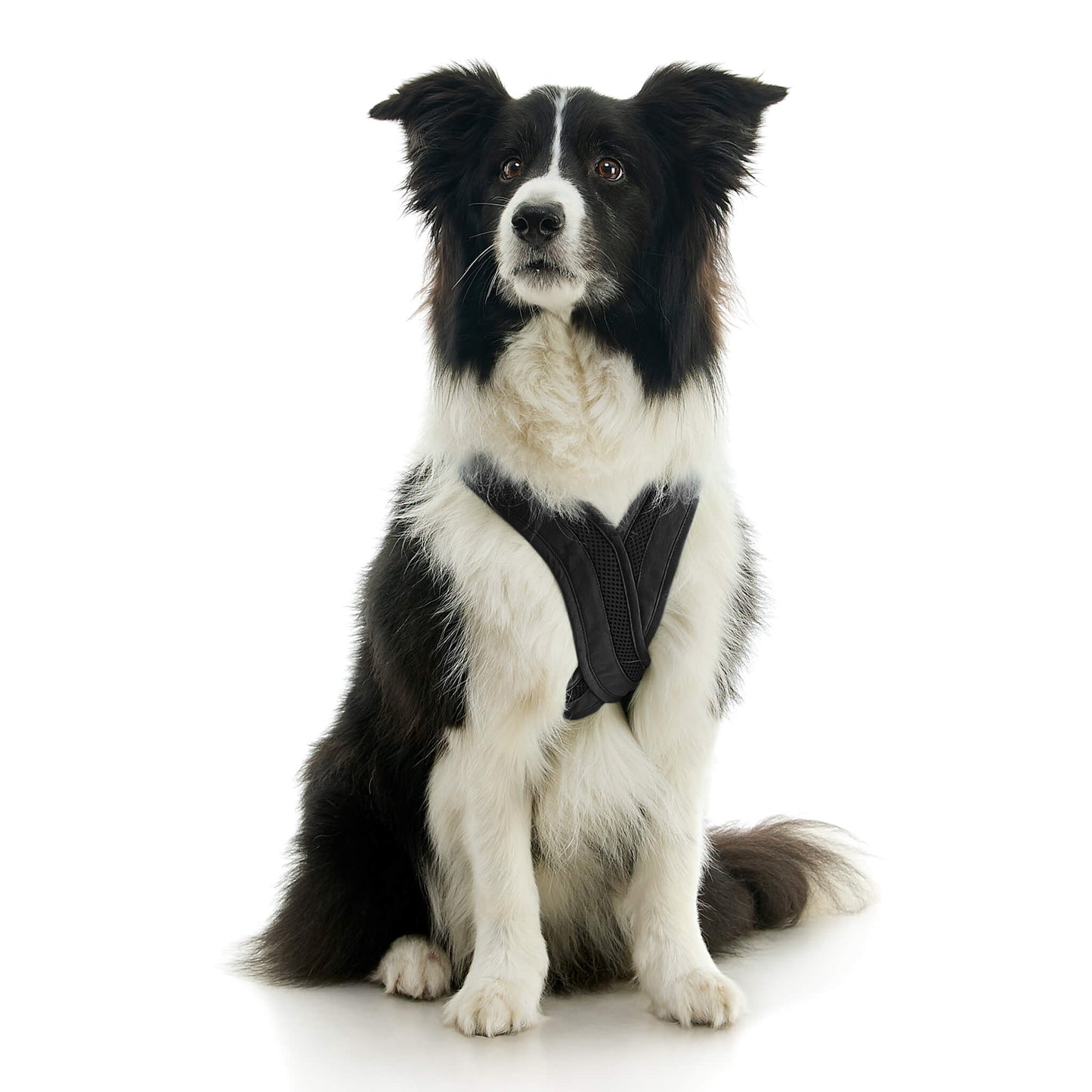 Escape Free Comfort X One Harness