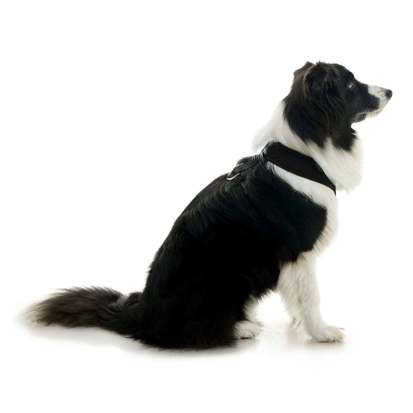 Escape Free Comfort X One Harness