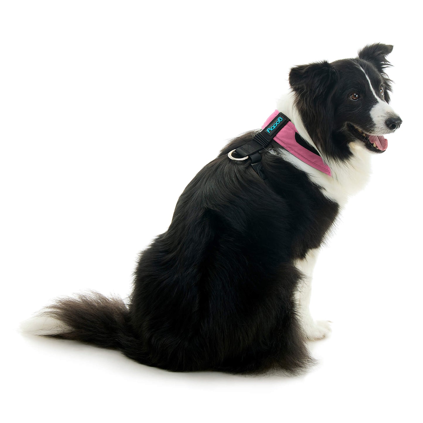 Escape Free Comfort X One Harness