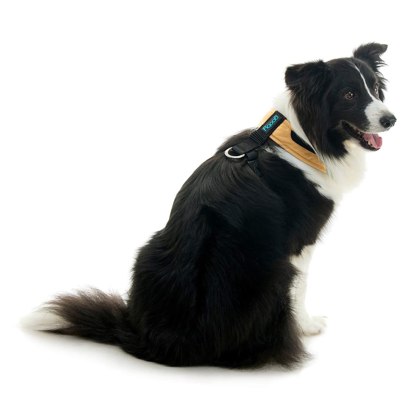 Escape Free Comfort X One Harness