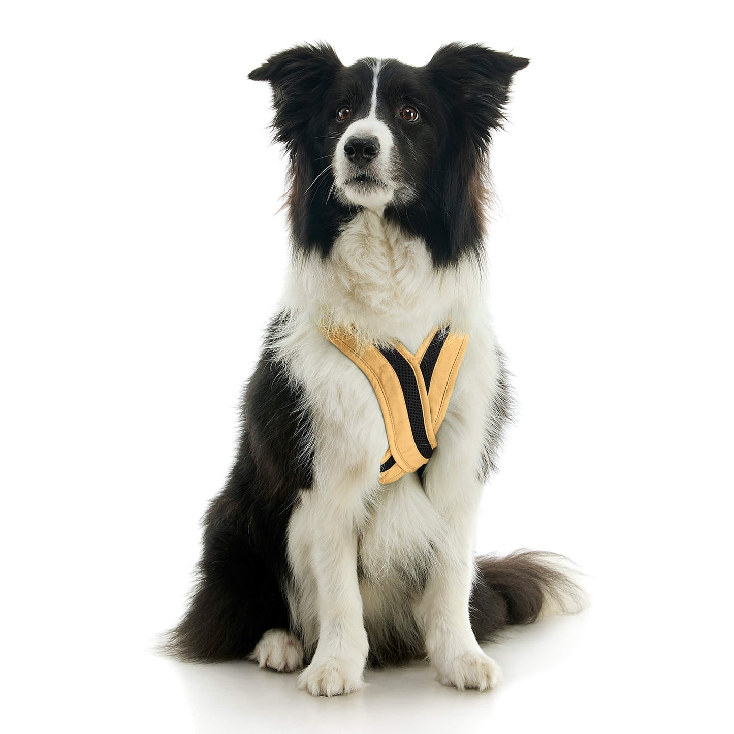 Escape Free Comfort X One Harness