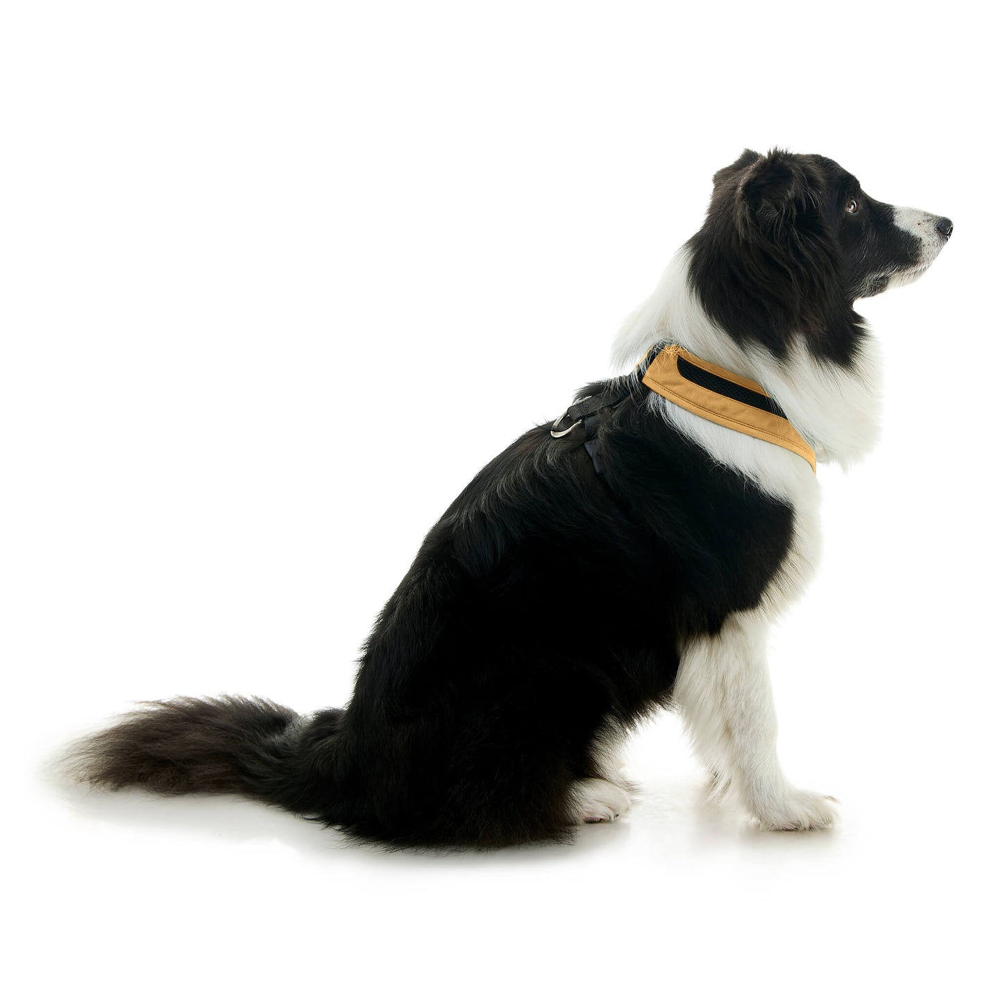 Escape Free Comfort X One Harness