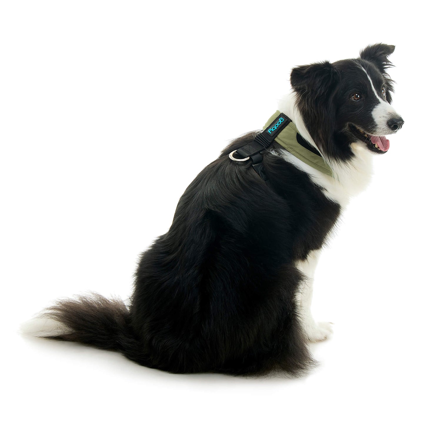 Escape Free Comfort X One Harness