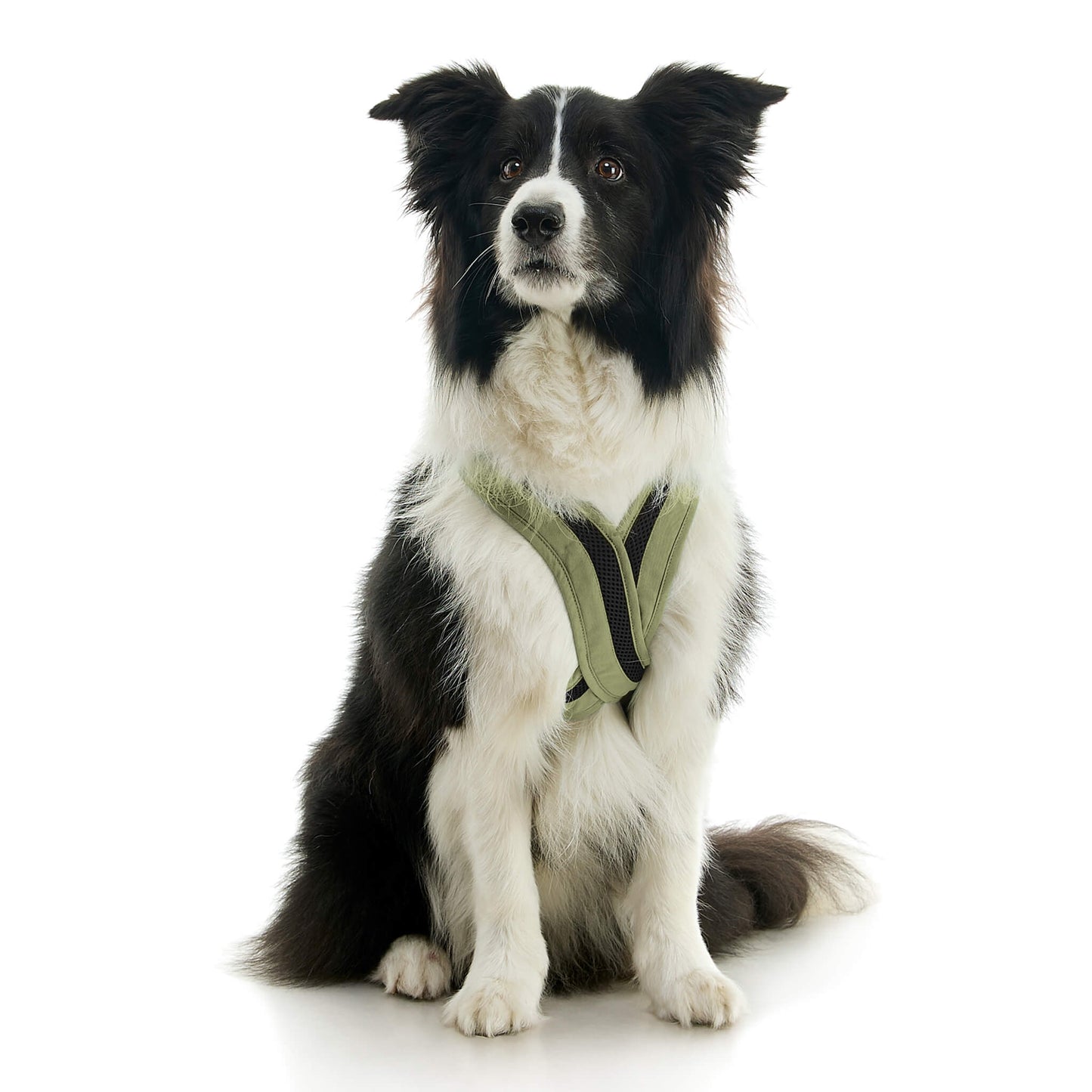 Escape Free Comfort X One Harness