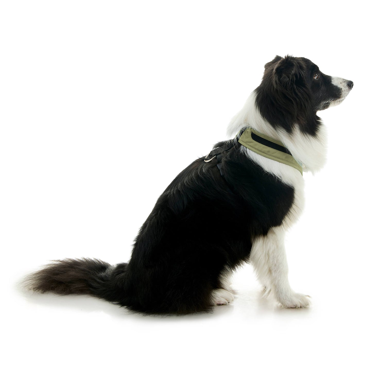 Escape Free Comfort X One Harness