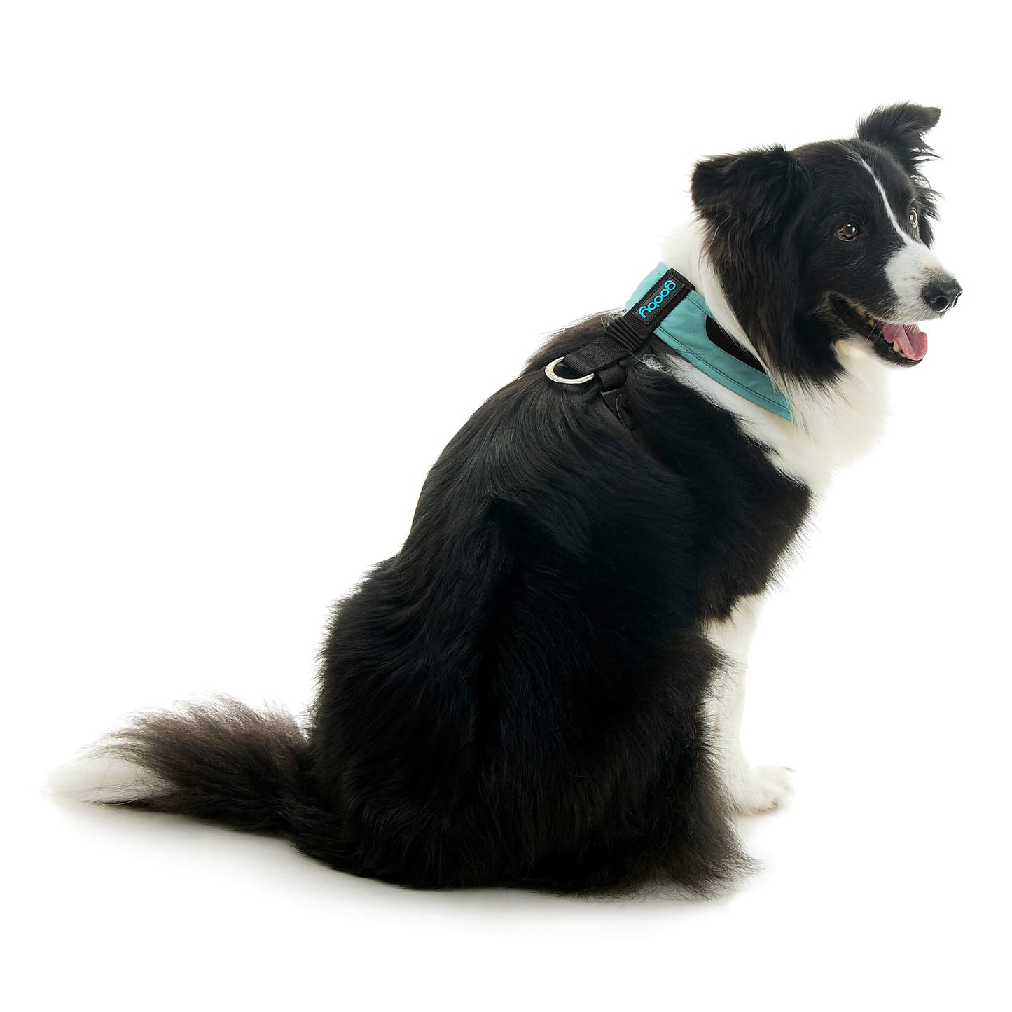 Escape Free Comfort X One Harness