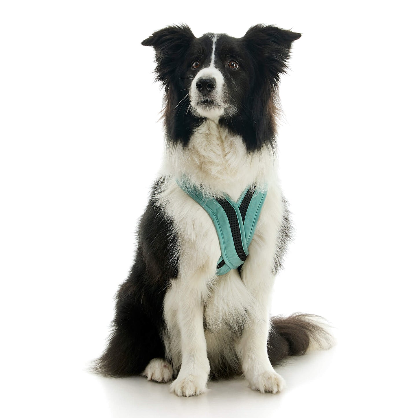 Escape Free Comfort X One Harness