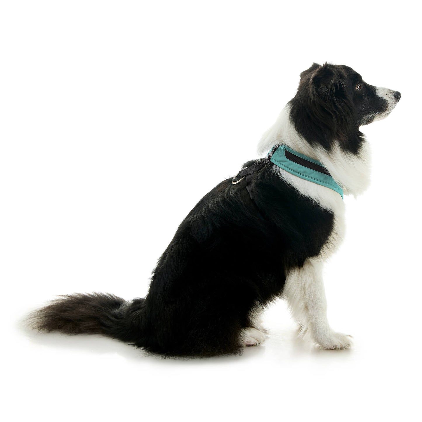 Escape Free Comfort X One Harness