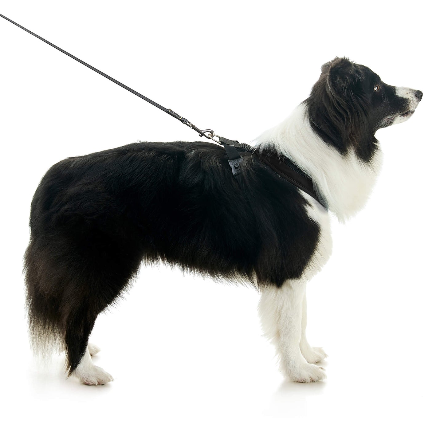 Escape Free Comfort X One Harness