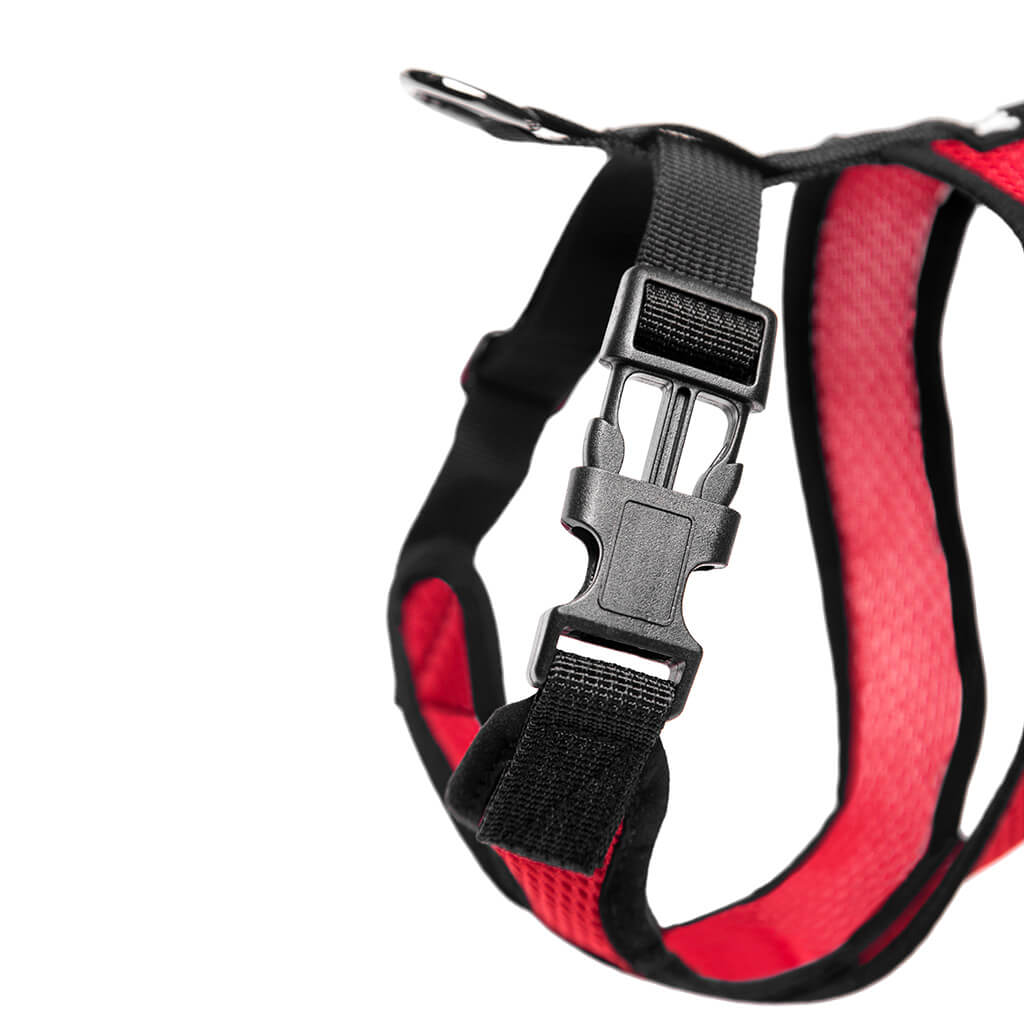 Comfort X Harness