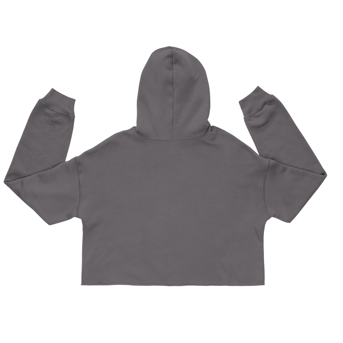 I Need My Space Astronaut Cat Cropped Hoodie - Pet Pride Tees