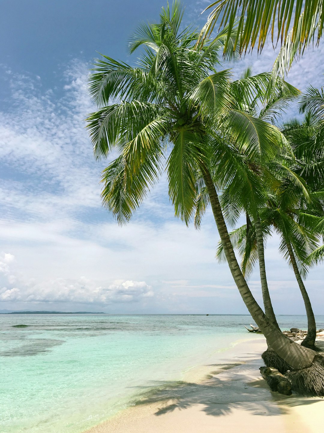 Unleash Adventure: Top Pet-Friendly Vacation Destinations