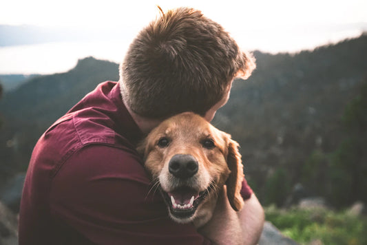 Understanding Common Pet Diseases and Prevention