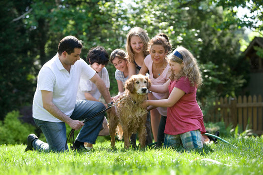 The Heartfelt Connection Pets  Family Bonding