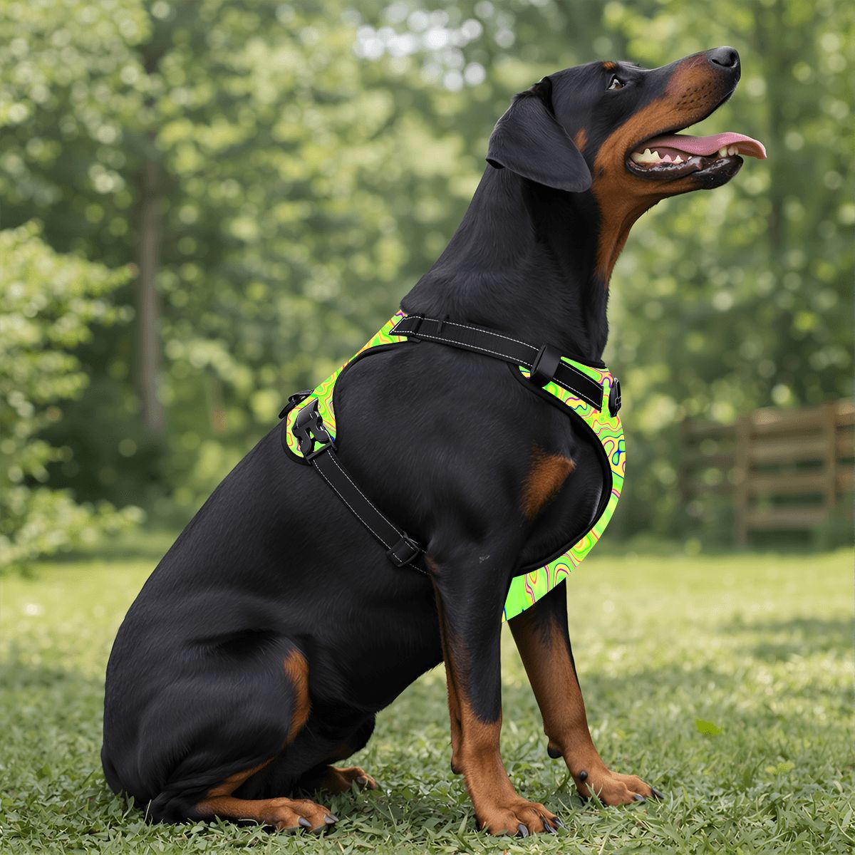 Trippy Lime Swirl Pet Harness and Leash Set – Reflective & Breathable