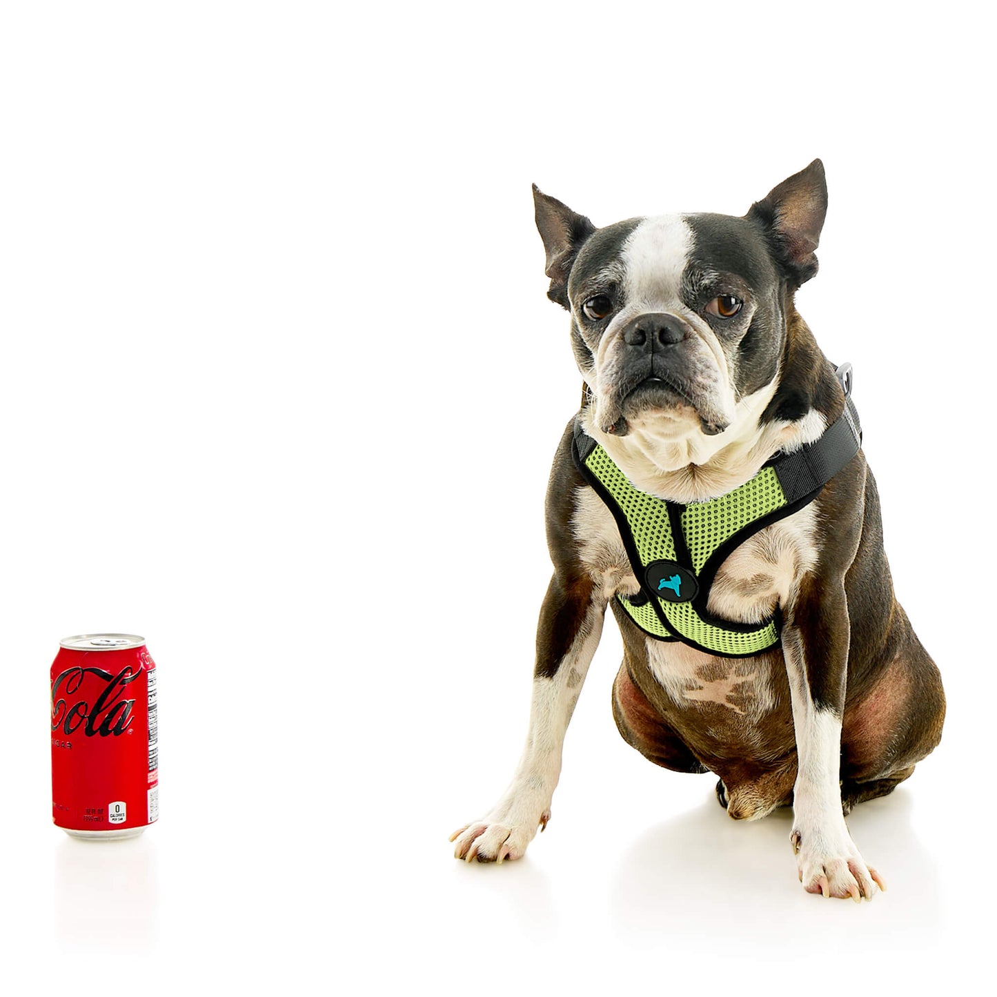 Comfort X Step In Lite Pet Harness