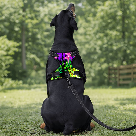 Neon Vibes Pet Harness and Leash Set – Reflective & Breathable - Pet Pride Tees