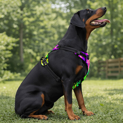 Neon Vibes Pet Harness and Leash Set – Reflective & Breathable