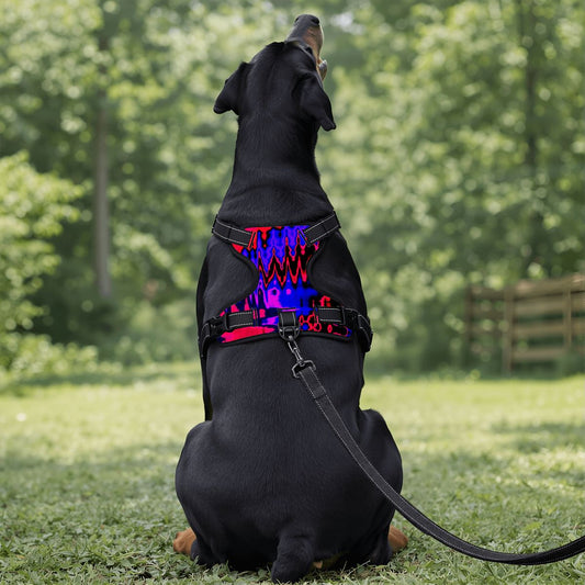 A black dog sitting on grass outdoors, viewed from behind, wearing a colorful harness with a leash attached. The harness has a black base with a bright blue, purple, and red zigzag pattern on the back and sides.
