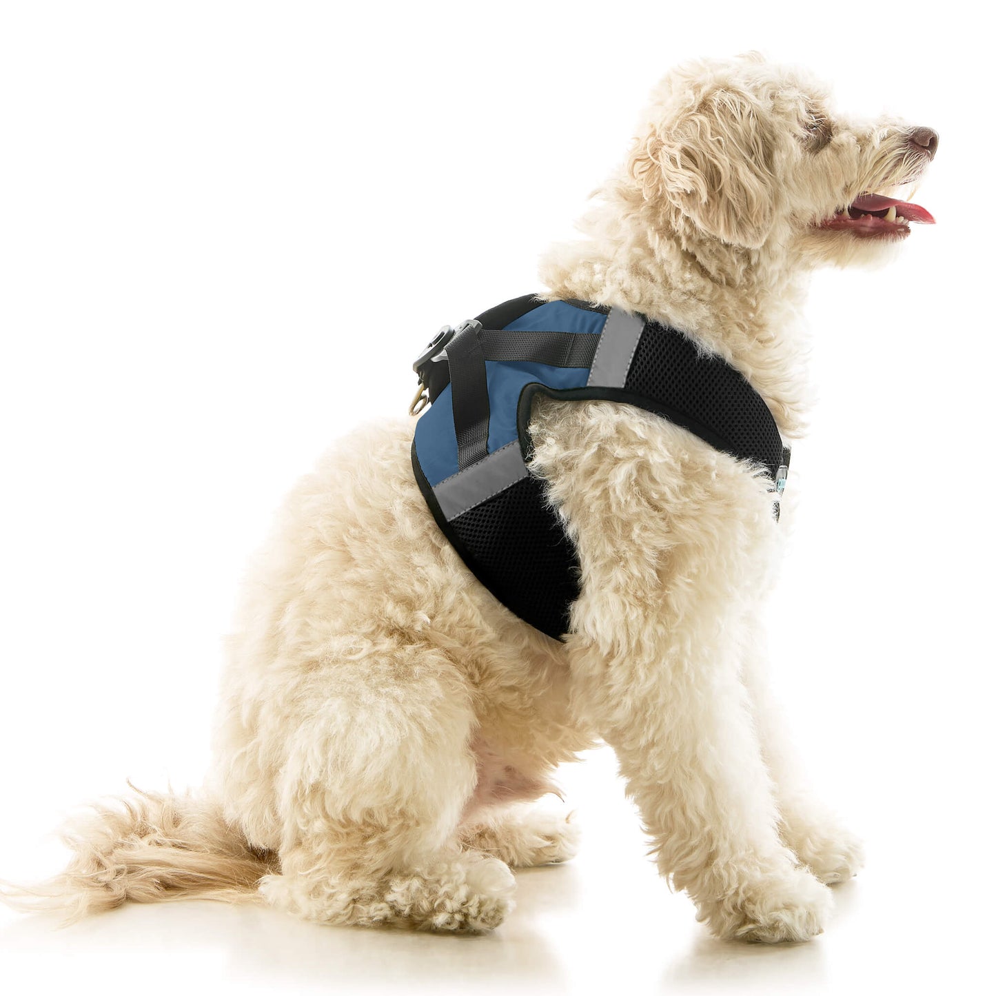 Soft Mesh X Step In Harness