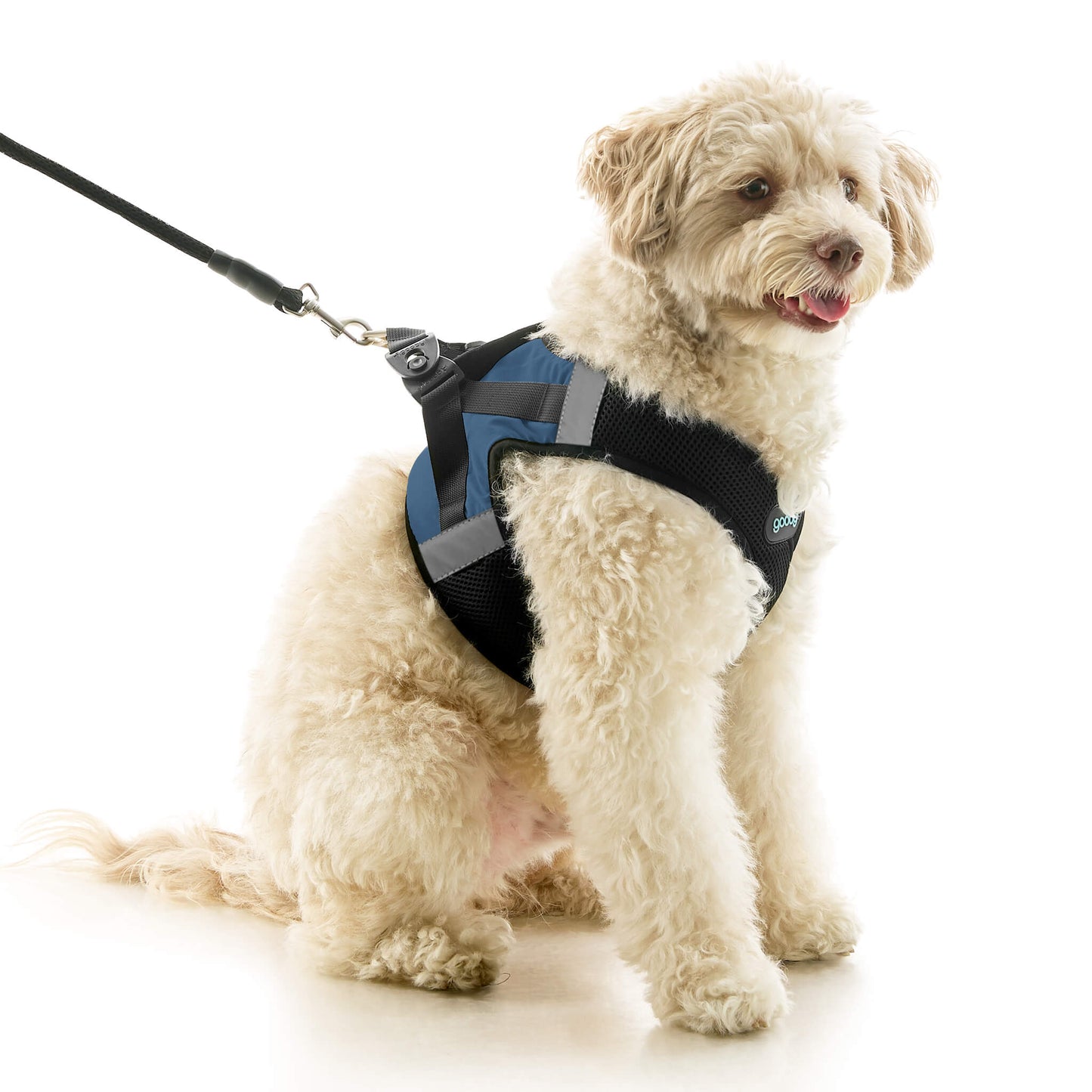 Soft Mesh X Step In Harness