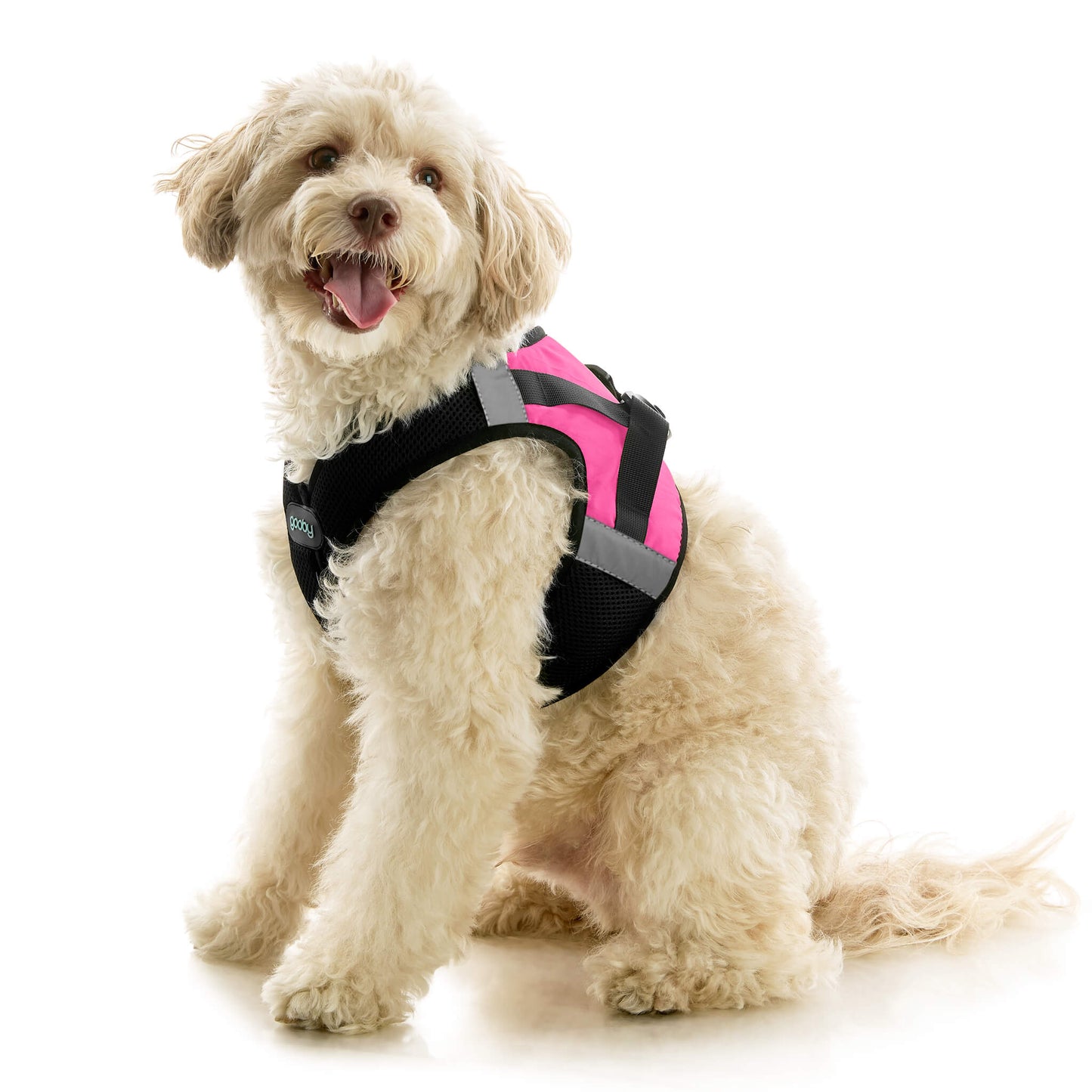 Soft Mesh X Step In Harness