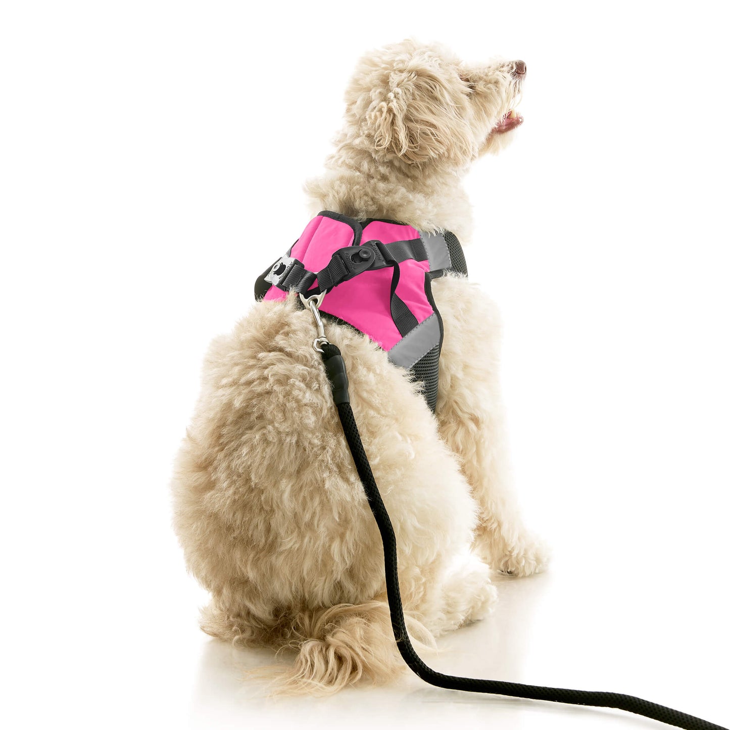 Soft Mesh X Step In Harness