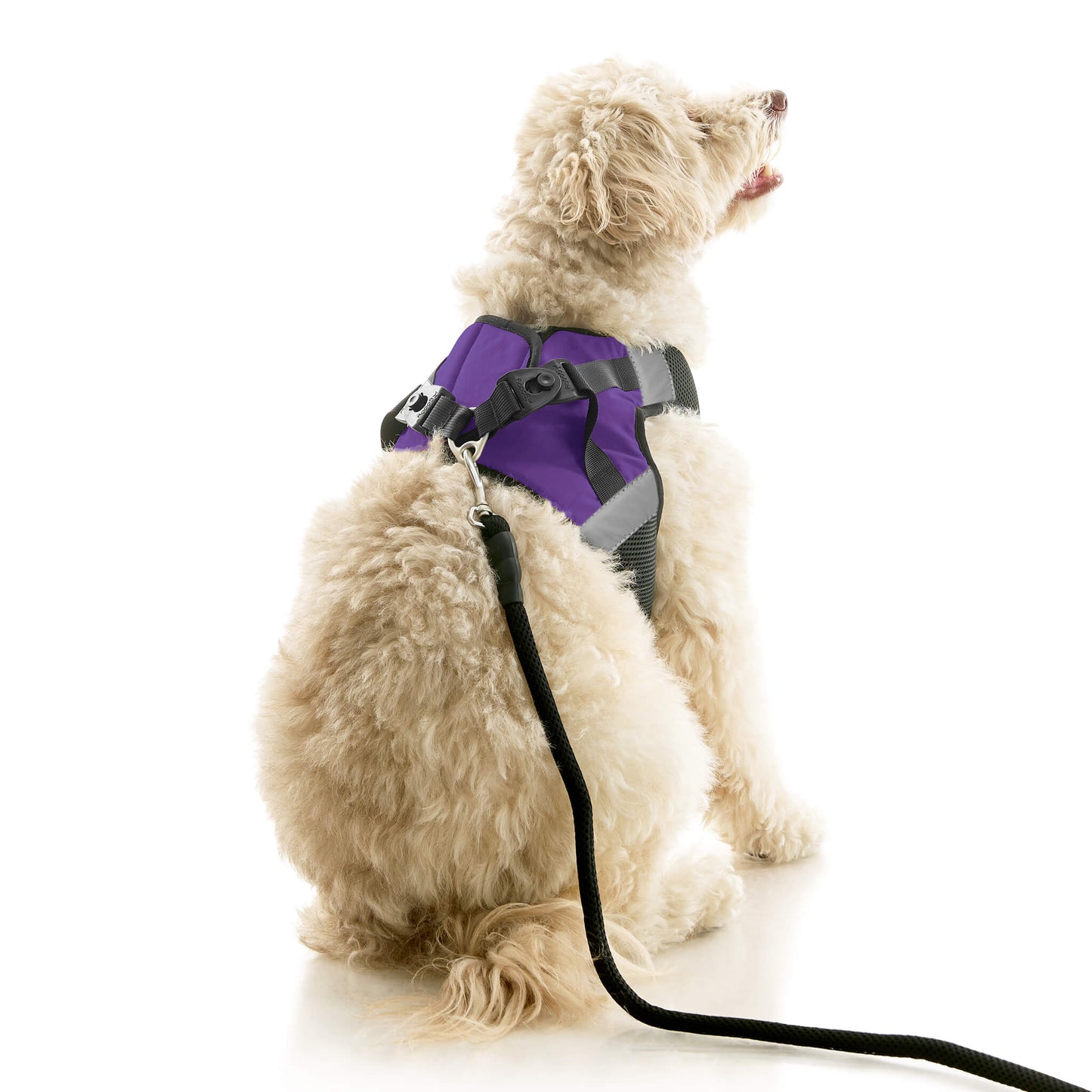 Soft Mesh X Step In Harness