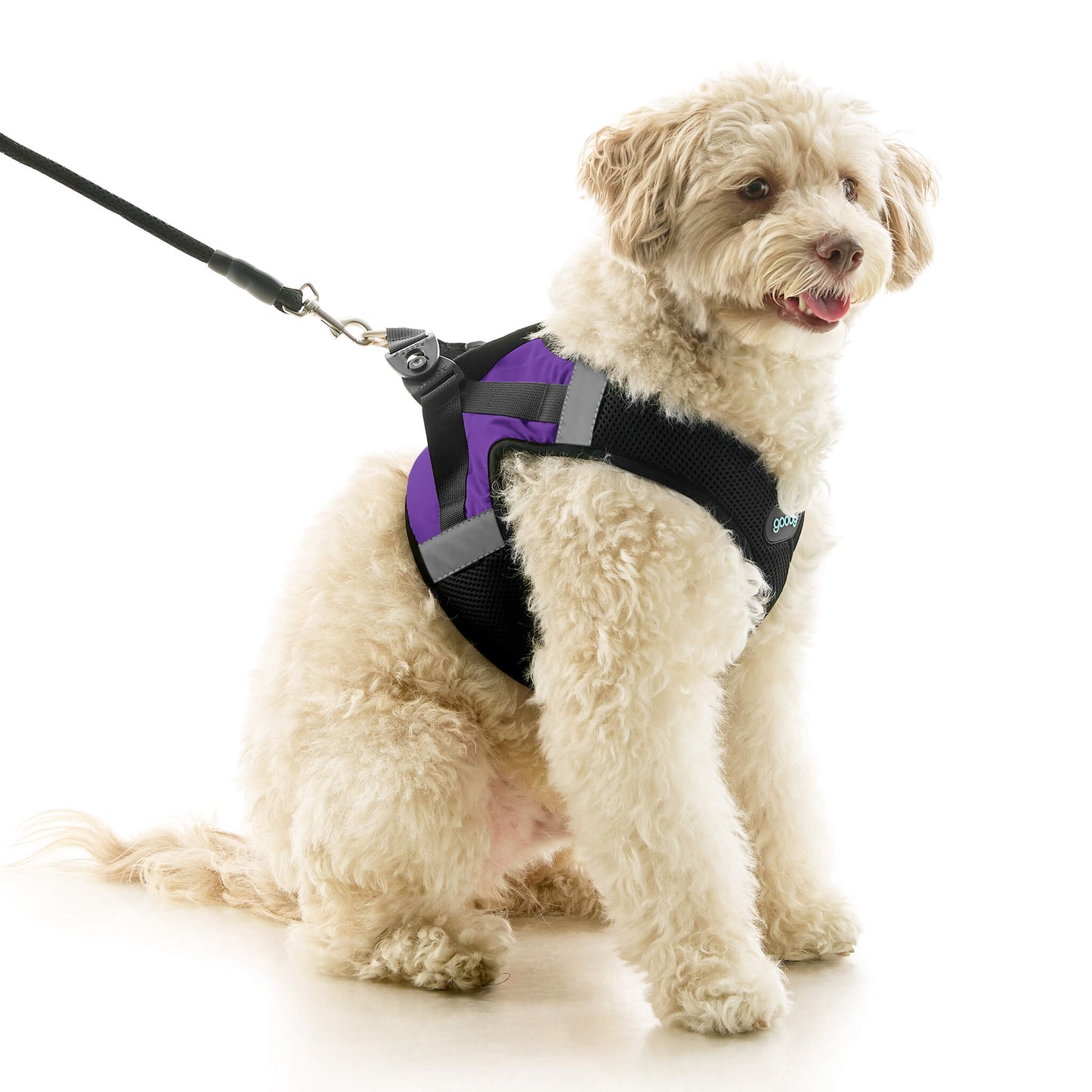 Soft Mesh X Step In Harness