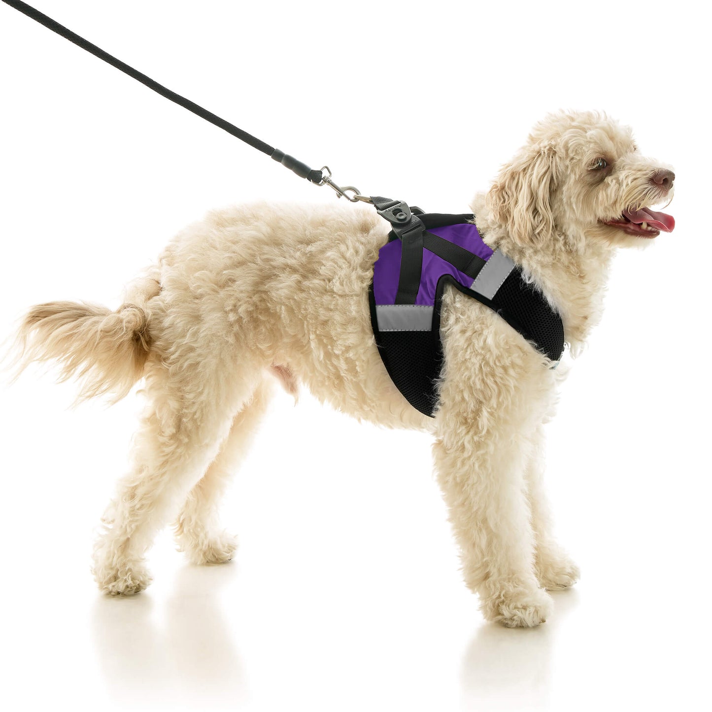 Soft Mesh X Step In Harness