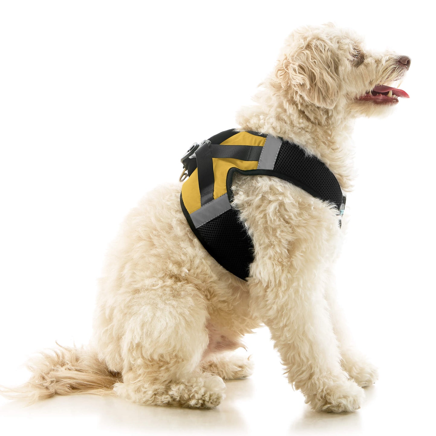 Soft Mesh X Step In Harness