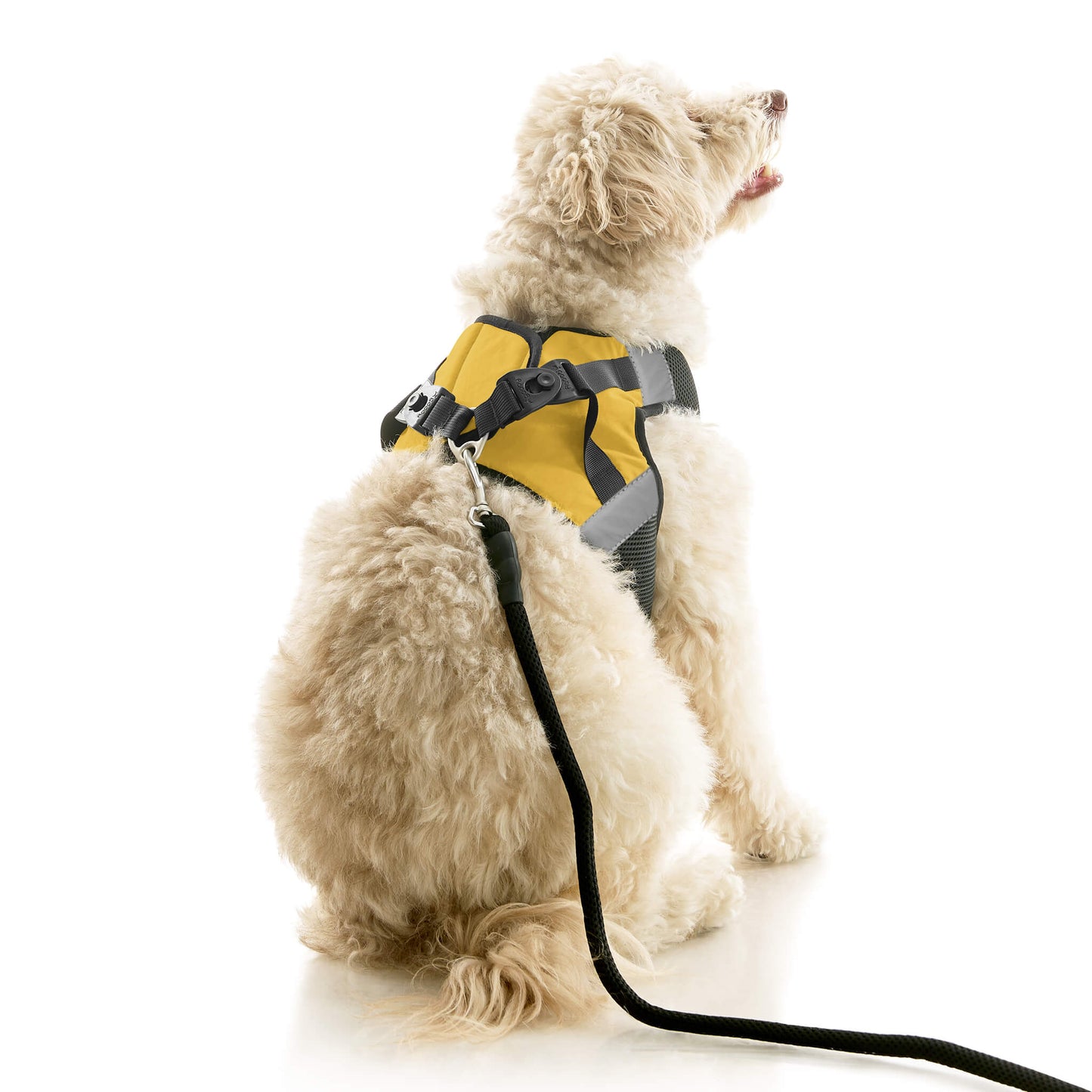 Soft Mesh X Step In Harness