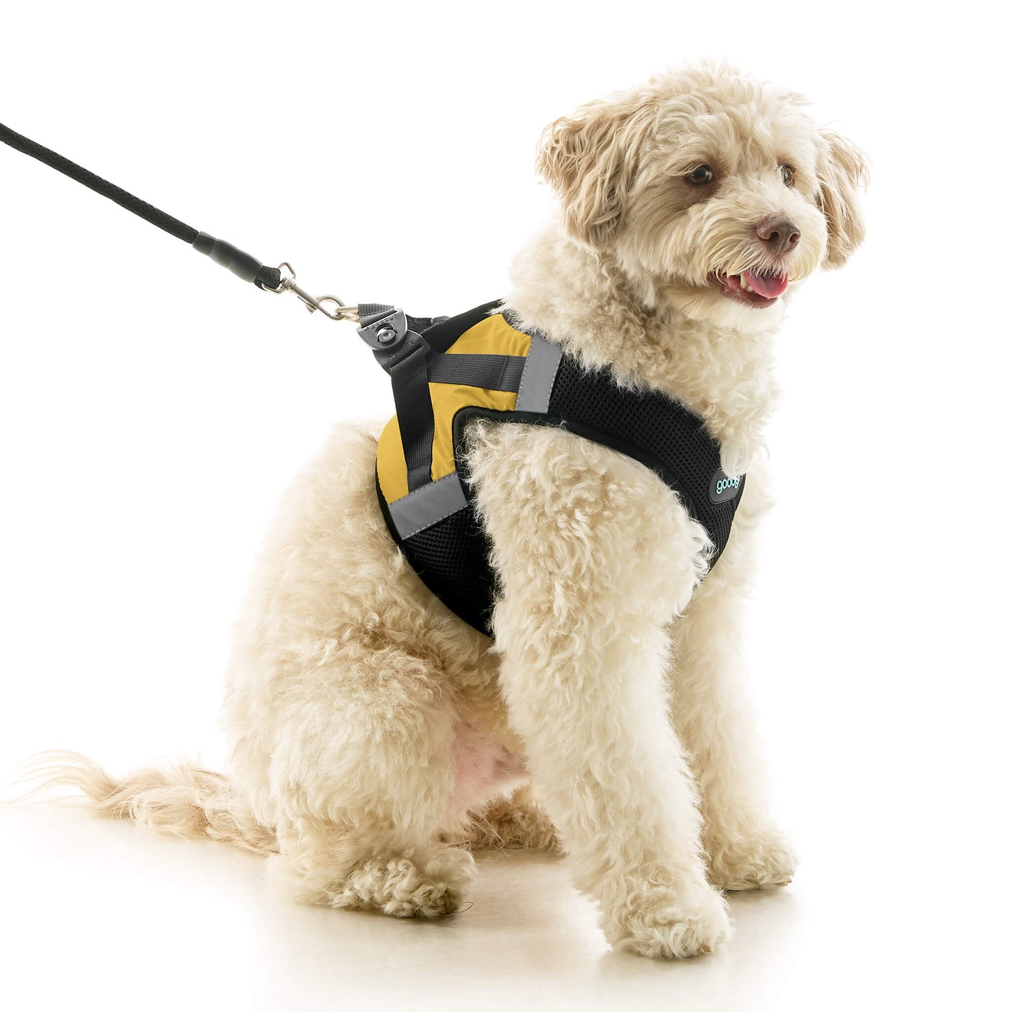 Soft Mesh X Step In Harness