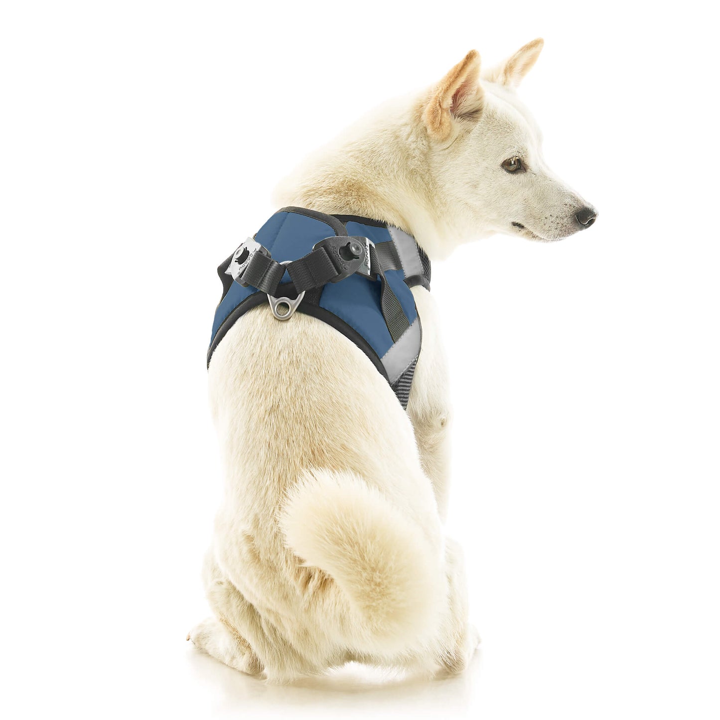 Soft Mesh X Step In Harness