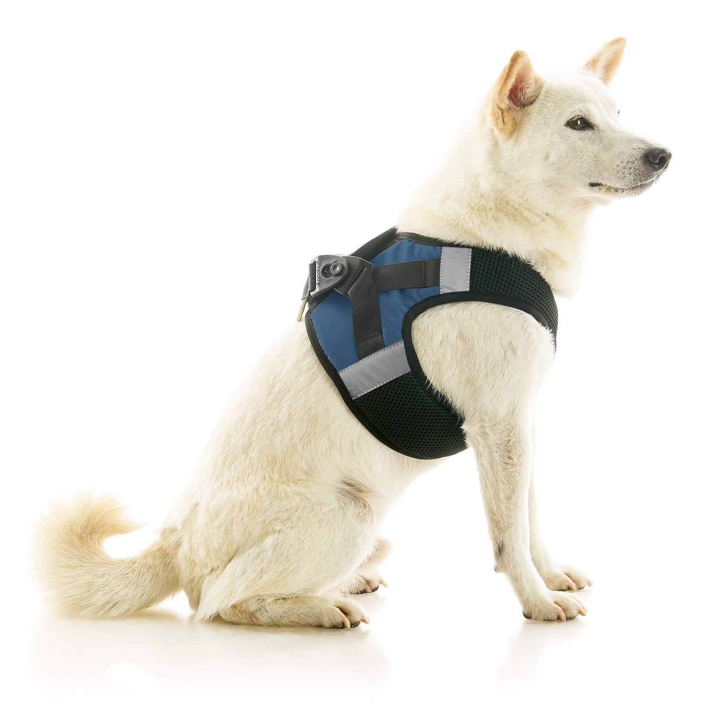 Soft Mesh X Step In Harness