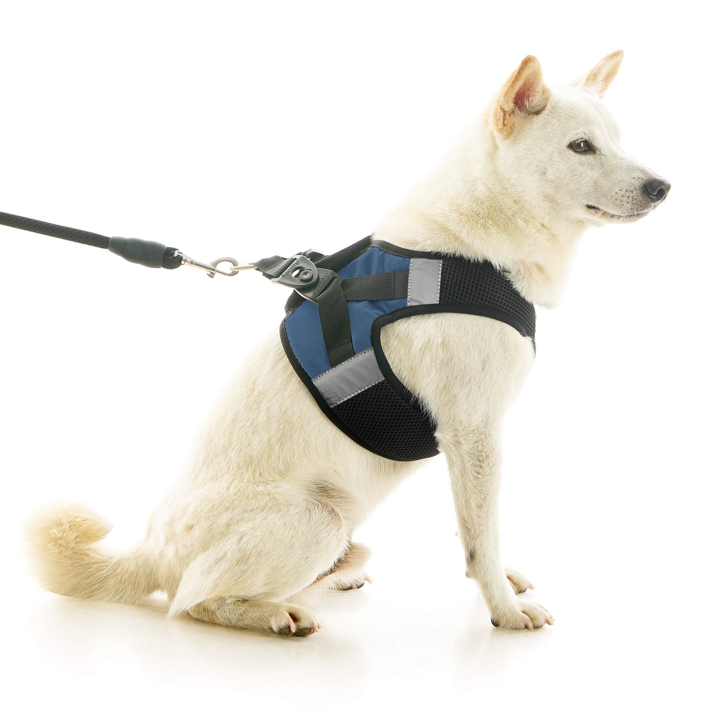 Soft Mesh X Step In Harness