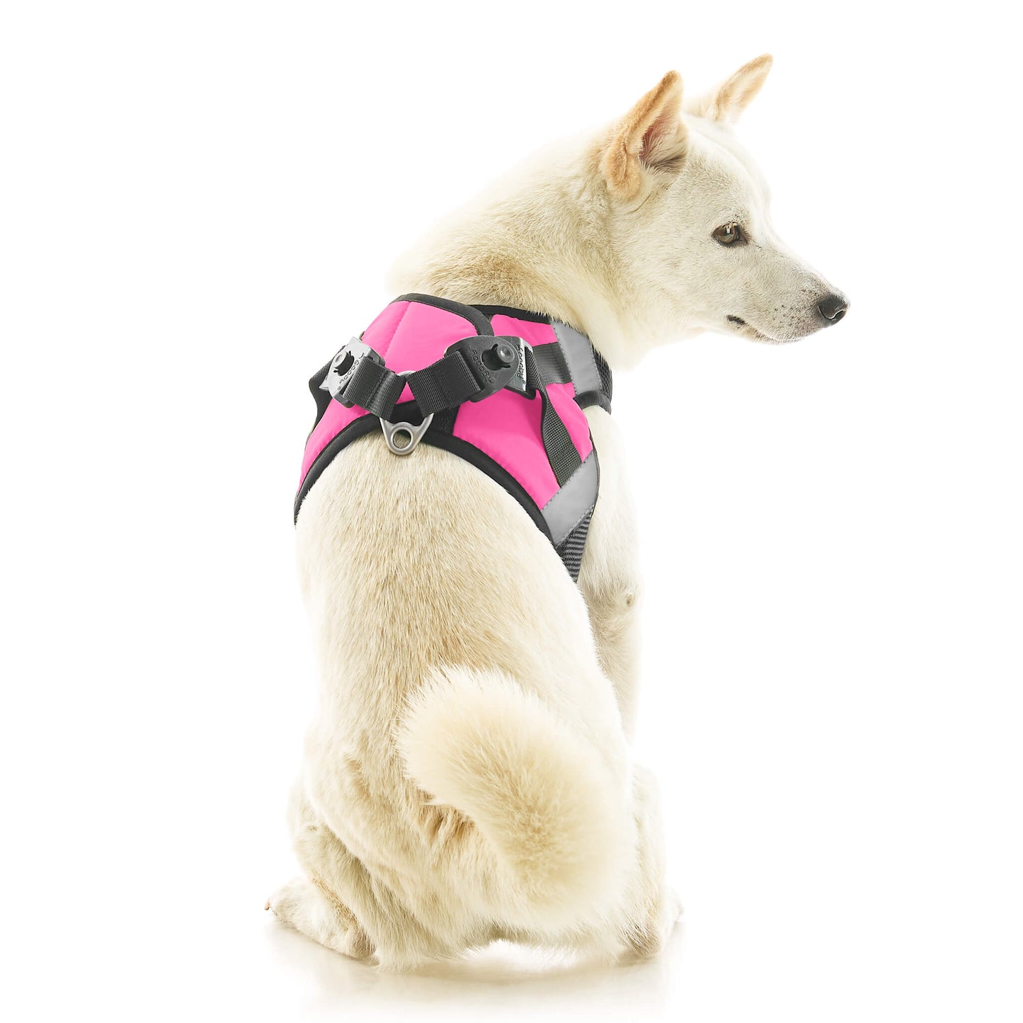 Soft Mesh X Step In Harness