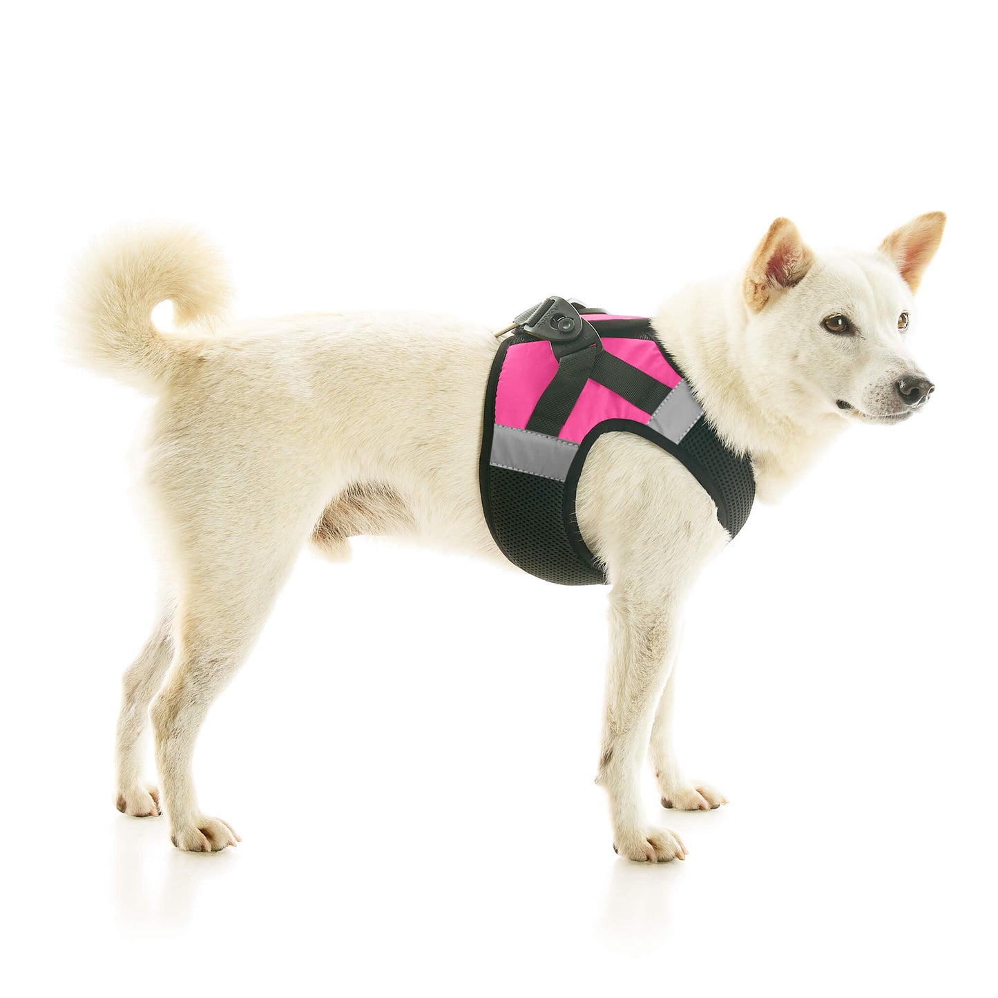 Soft Mesh X Step In Harness